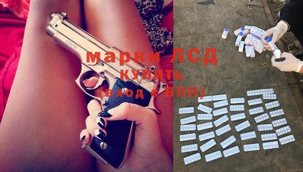 крисы Горняк