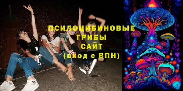 ALPHA PVP Горнозаводск