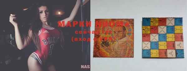крисы Горняк