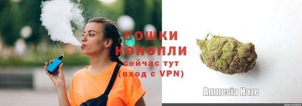 крисы Горняк