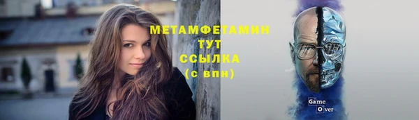 крисы Горняк