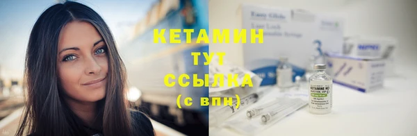 крисы Горняк