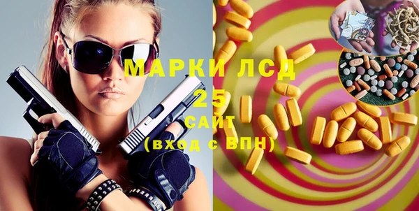 крисы Горняк