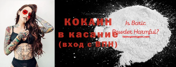 крисы Горняк