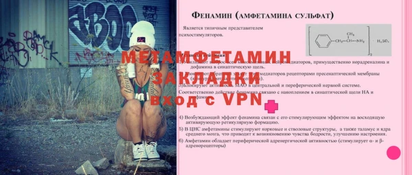 крисы Горняк