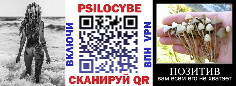 Псилоцибиновые грибы мицелий  Нижневартовск 